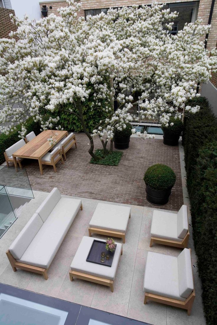 درخت برای ویلا
