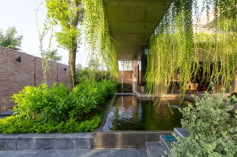 گیاهان ویلا