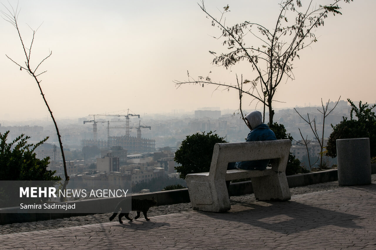 تهران در چنگال آلودگی؛چرا برخی ادارات مصوبات اضطرار را نادیده میگیرند