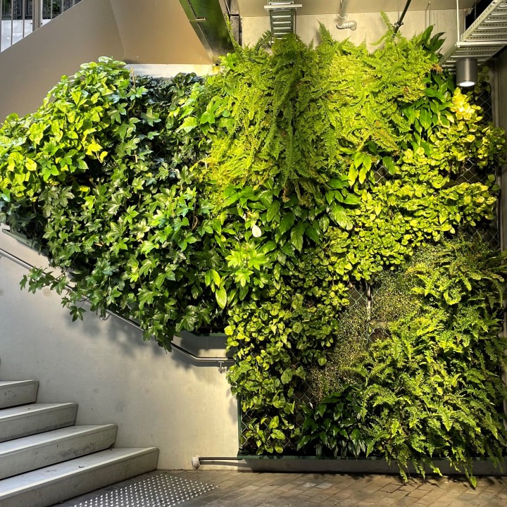 نصب دیوار سبز با استفاده از فریمهای مدولار در حیاط ویلا
